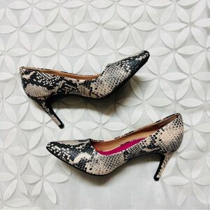 (8)  Scoop high heels.